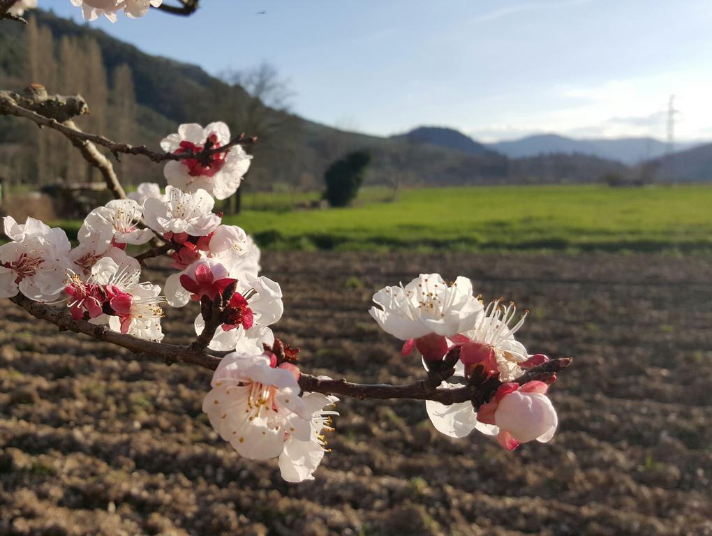 Ferentillo Agriturismo I Terzieri المظهر الخارجي الصورة