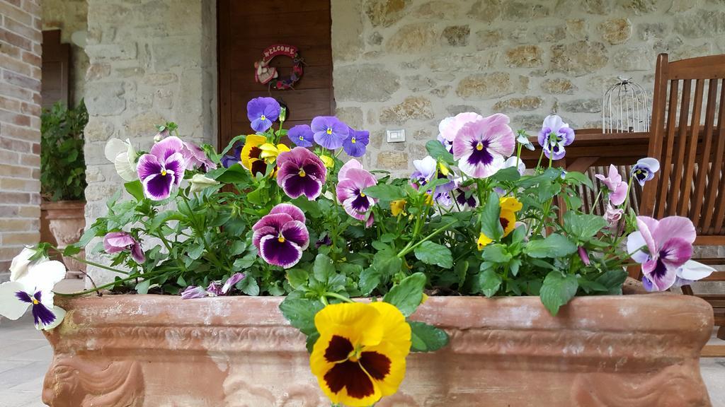 Ferentillo Agriturismo I Terzieri المظهر الخارجي الصورة