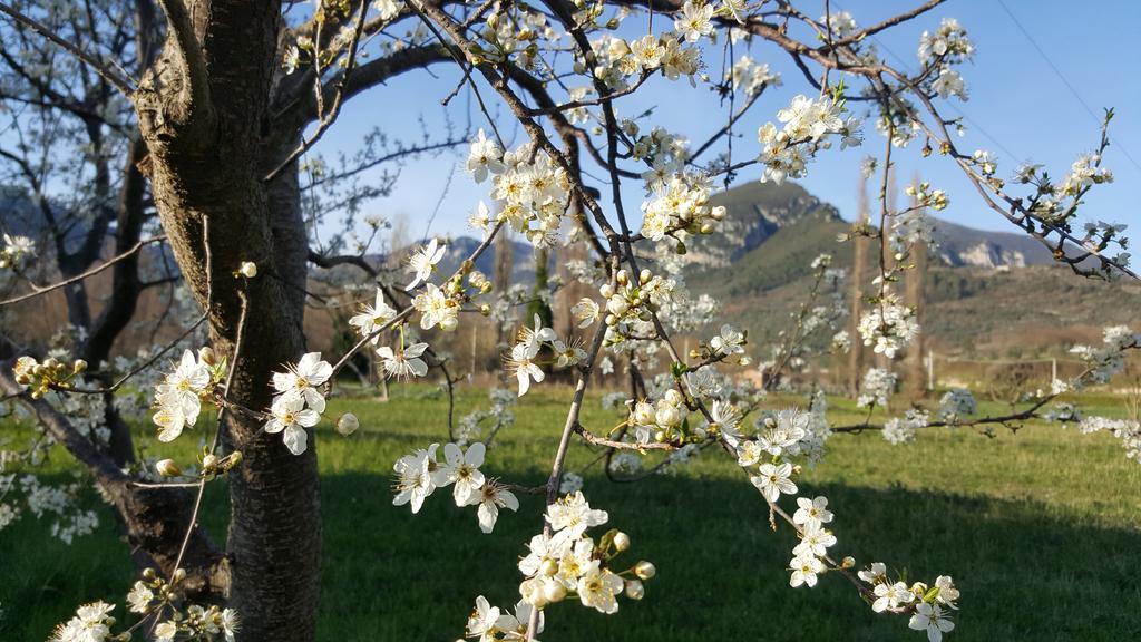 Ferentillo Agriturismo I Terzieri المظهر الخارجي الصورة