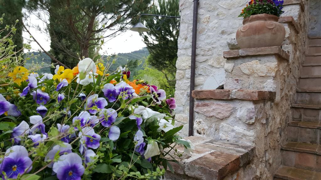 Ferentillo Agriturismo I Terzieri المظهر الخارجي الصورة