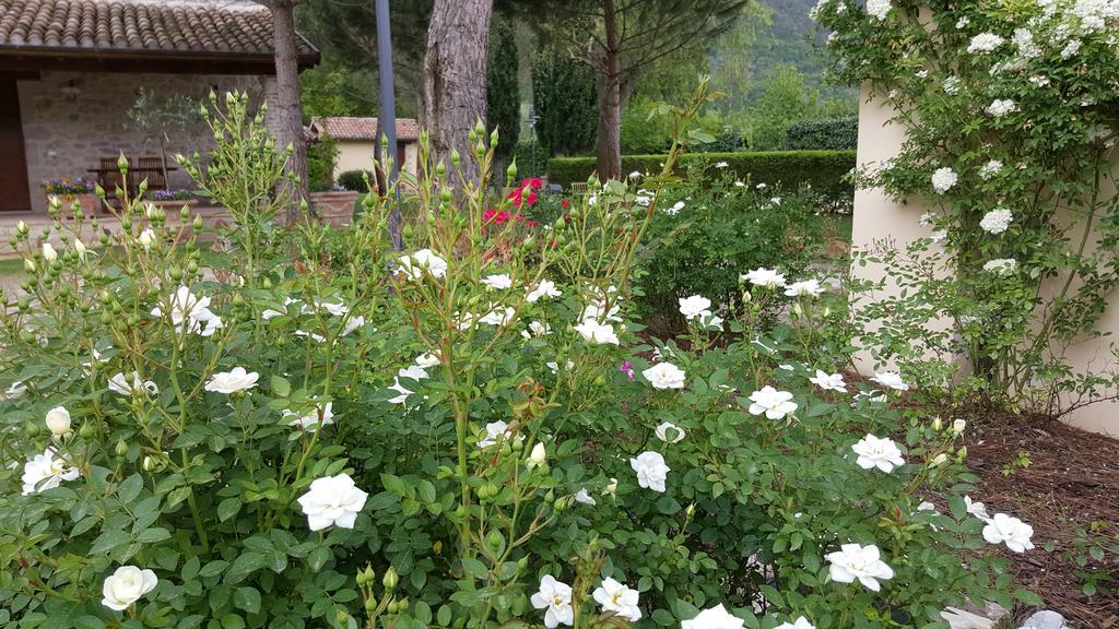 Ferentillo Agriturismo I Terzieri المظهر الخارجي الصورة