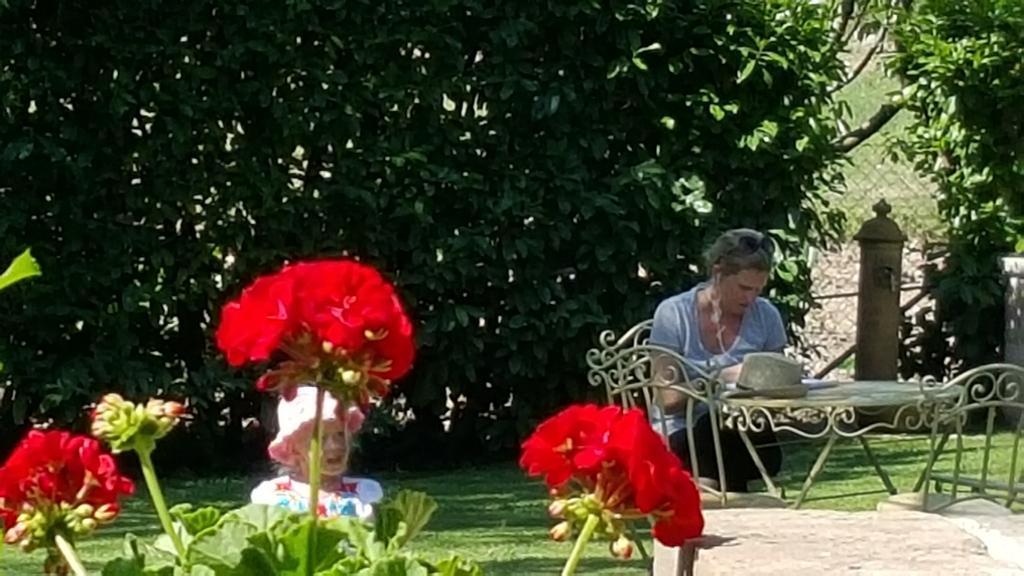 Ferentillo Agriturismo I Terzieri المظهر الخارجي الصورة