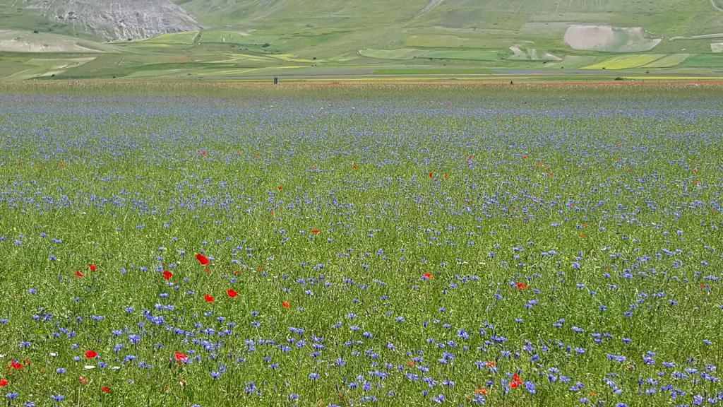 Ferentillo Agriturismo I Terzieri المظهر الخارجي الصورة